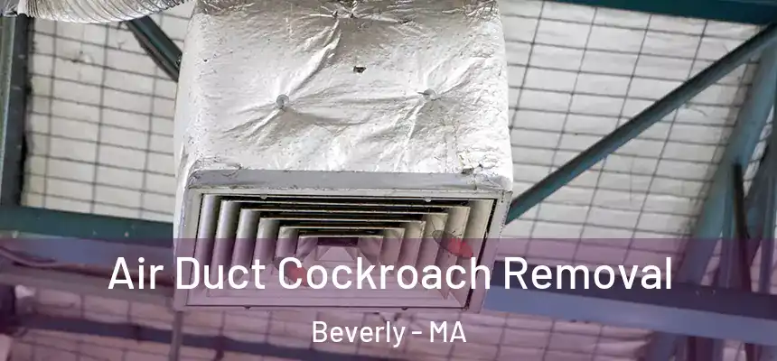 Air Duct Cockroach Removal Beverly - MA
