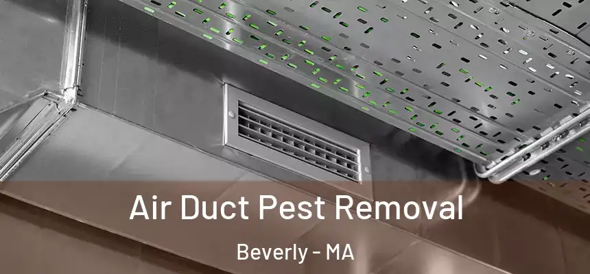 Air Duct Pest Removal Beverly - MA