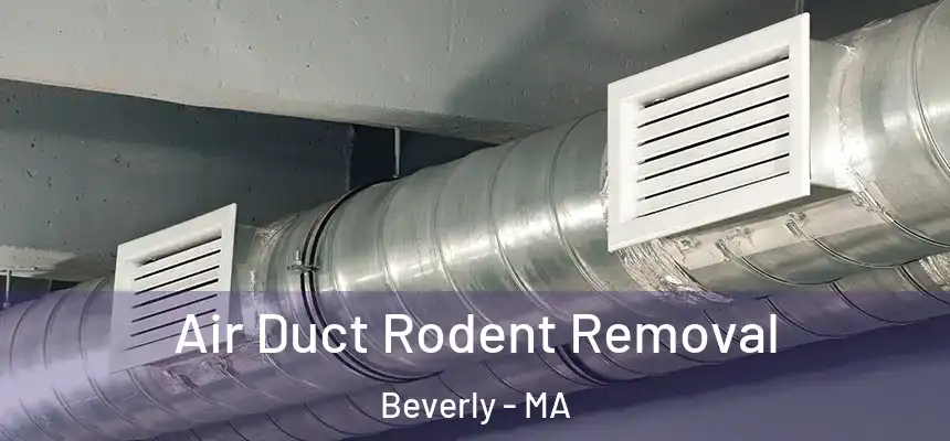 Air Duct Rodent Removal Beverly - MA