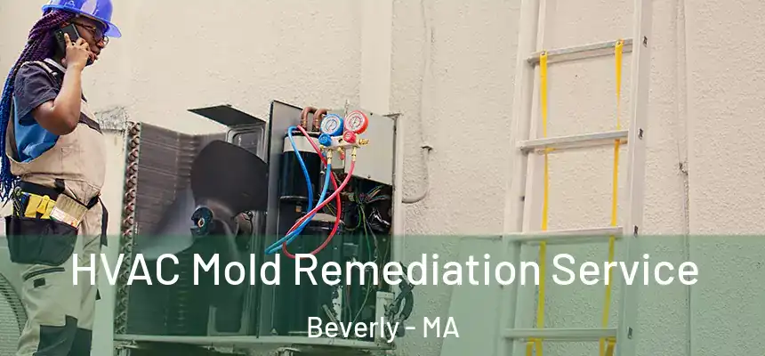  HVAC Mold Remediation Service Beverly - MA