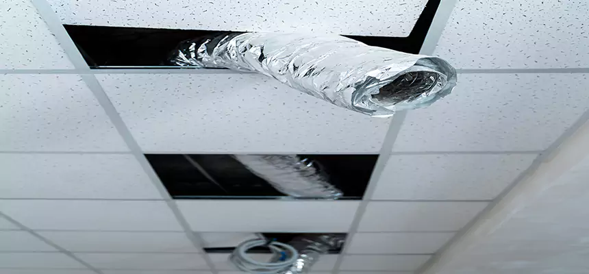 Affordable HVAC Sanitizing After Pest Removal in Beverly