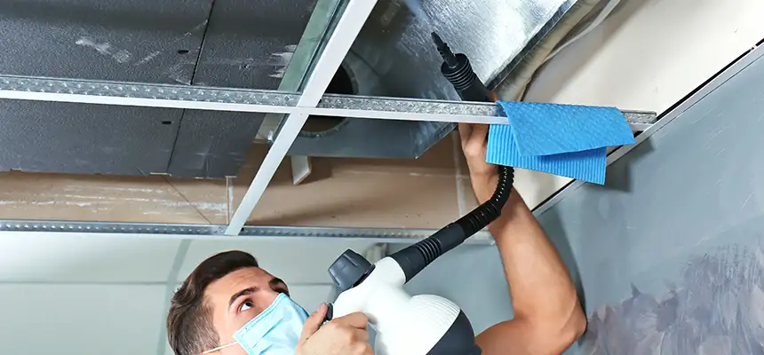 Our Air Duct Rodent Removal Services in Beverly, MA