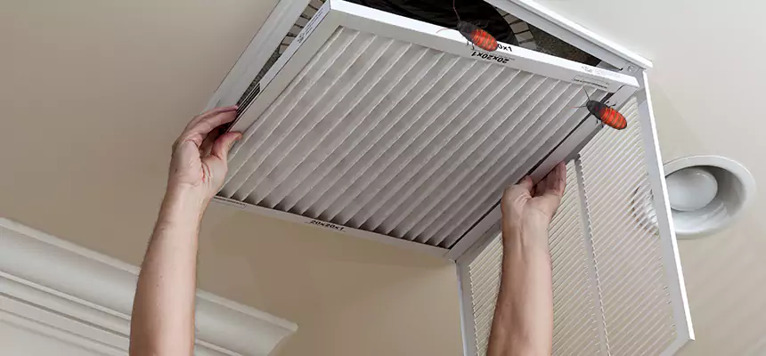 Our Insect Removal from Air Ducts Services in Beverly, MA