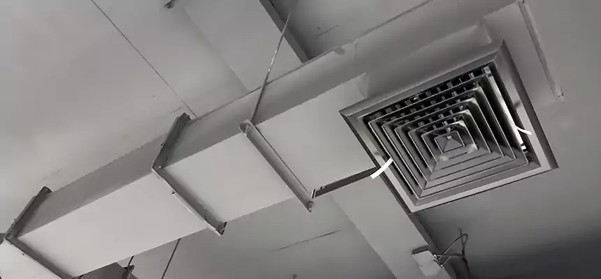 Our Rodent Droppings In Vents Services in Beverly, MA