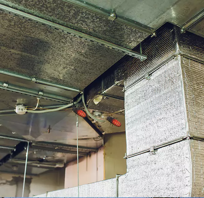 Why Homeowners & Businesses Trust Us in Beverly, MA?