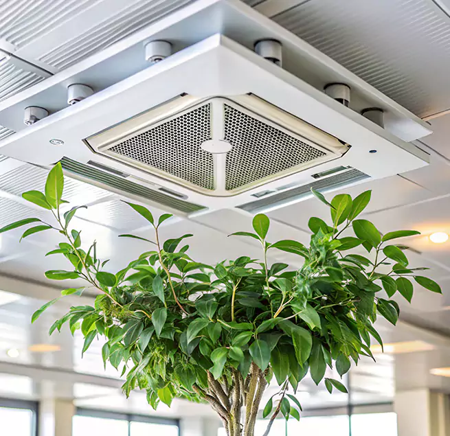 Why Homeowners & Businesses Trust Us in Beverly, MA